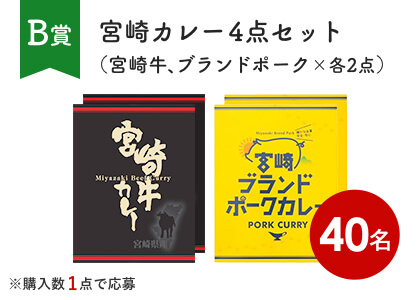 宮崎カレー4点セット（宮崎牛、ブランドポーク×各2点）