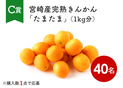宮崎産完熟きんかん「たまたま」（1kg分）