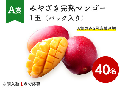 みやざき完熟マンゴー1玉（パック入り）