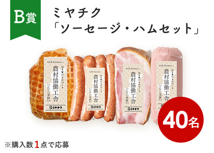 ミヤチク「ソーセージ・ハムセット」