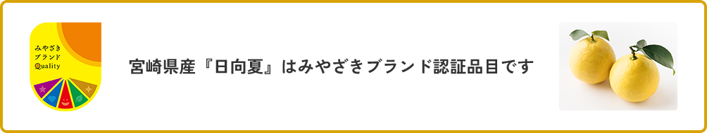 宮崎県産『日向夏』はみやざきブランド認証品目です