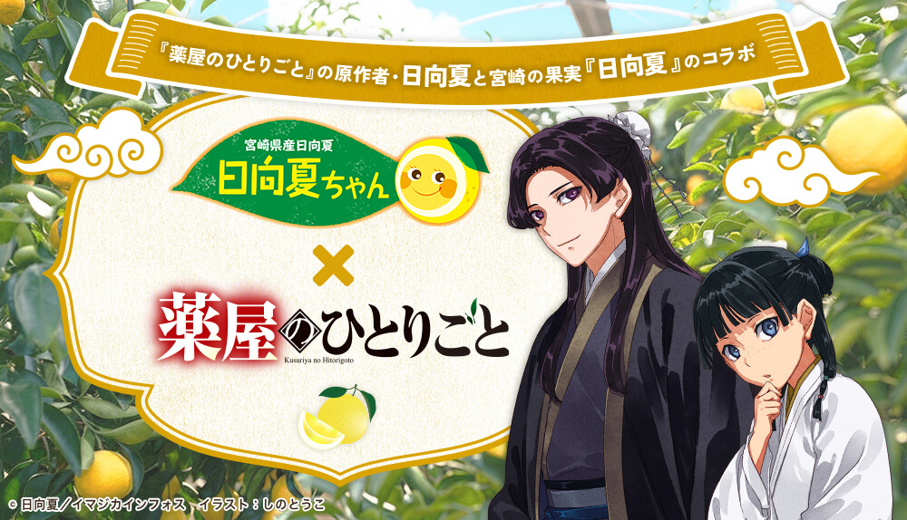 生産量日本一！宮崎県産「きゅうり」