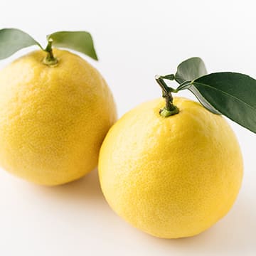 宮崎県産日向夏