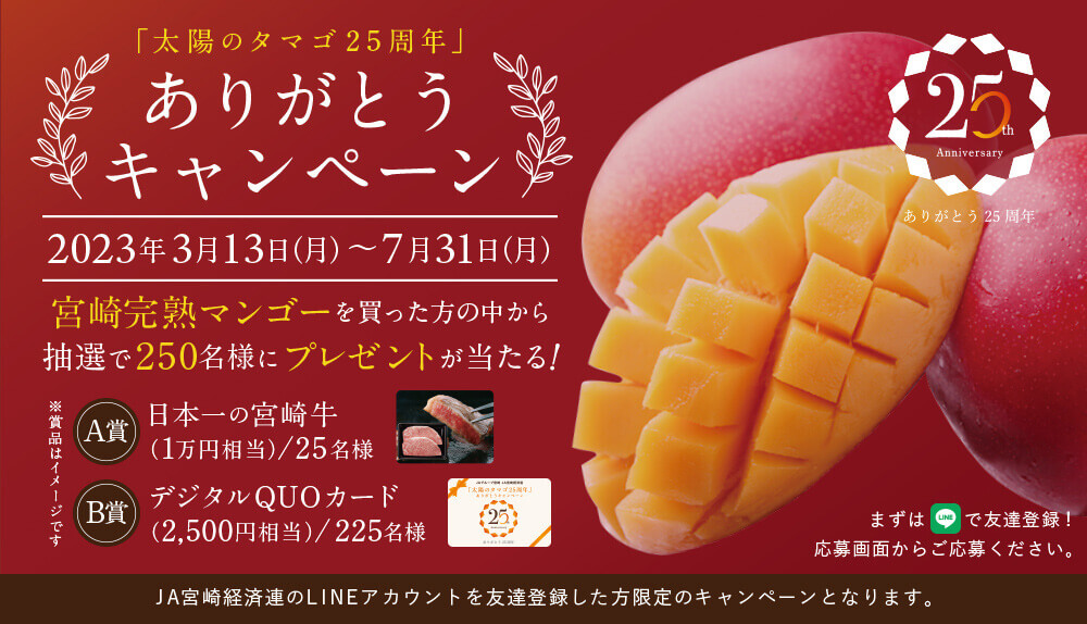 「太陽のタマゴ25周年」ありがとうキャンペーン