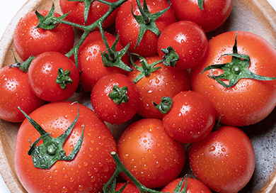 宮崎県産ピーマン「グリーンザウルス」