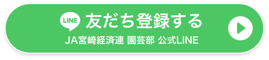 JA宮崎経済連 園芸部 公式LINE 友だち登録する