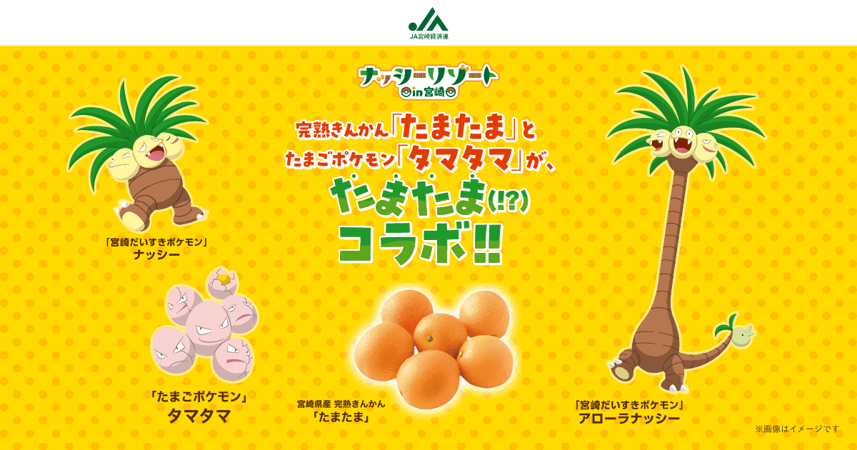 完熟きんかん「たまたま」とたまごポケモン「タマタマ」が