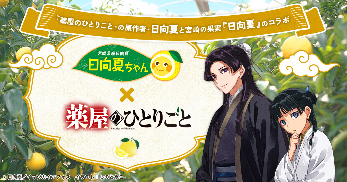 宮崎県産日向夏 日向夏ちゃん×薬屋のひとりごと2025 | JAみやざき園芸