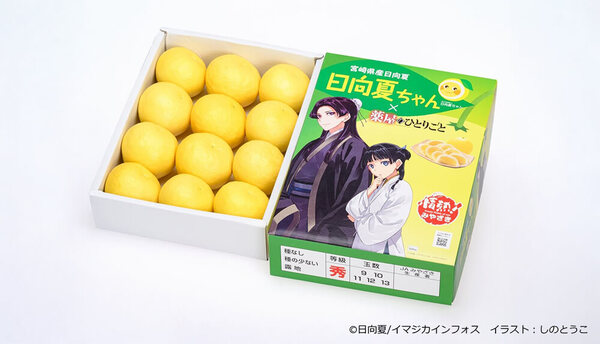 宮崎県産日向夏2.5㎏化粧箱（種ありタイプ）小説「薬屋のひとりごと」コラボパッケージ